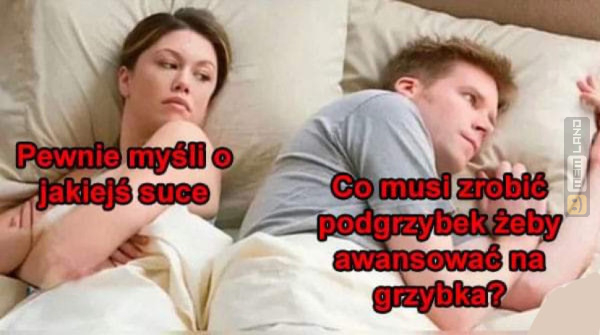 Śmieszny mem: 8948972 - MemLand