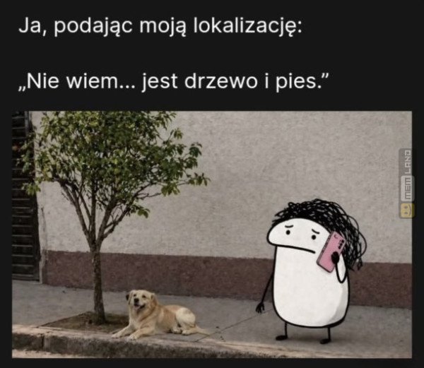 Śmieszny mem: 8952923 - MemLand