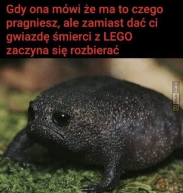 Śmieszny mem: 8962856 - MemLand