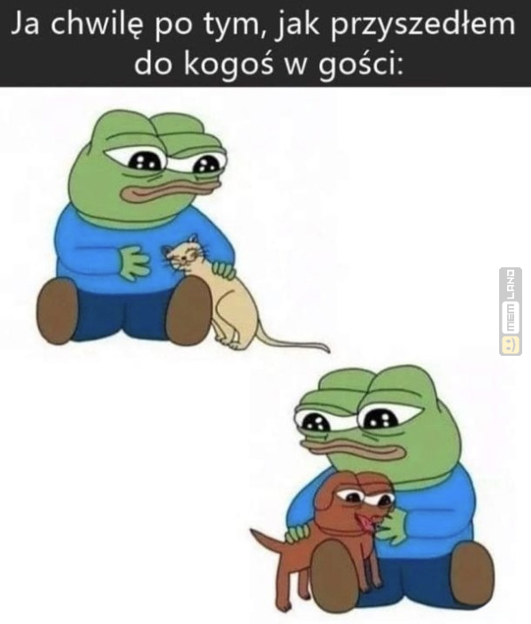 Śmieszny mem: 8972682 - MemLand
