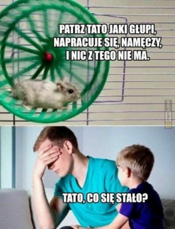 Śmieszny mem: 8983545 - MemLand