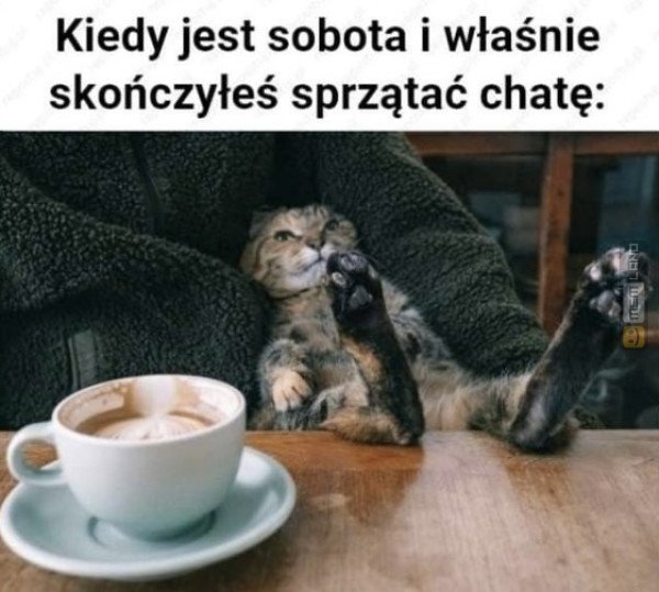 Śmieszny mem: 8984092 - MemLand