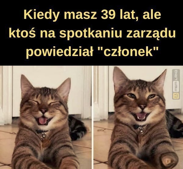 Śmieszny mem: 9001760 - MemLand