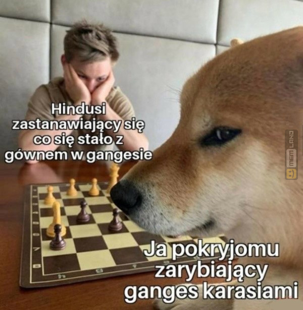 Śmieszny mem: 9018459 - MemLand