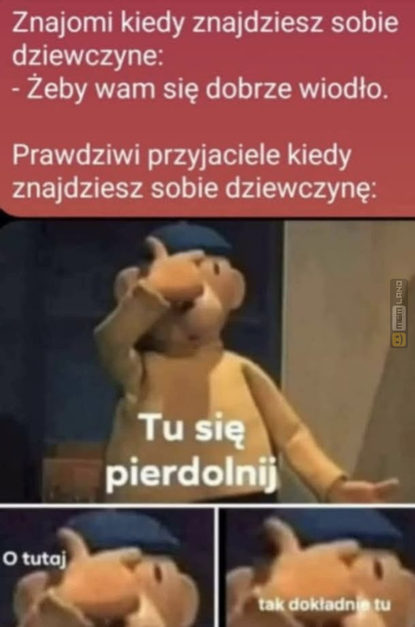 Śmieszny mem: 9019381 - MemLand
