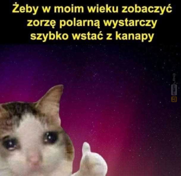 Śmieszny mem: 9019895 - MemLand