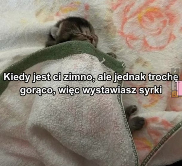 Śmieszny mem: 9020451 - MemLand