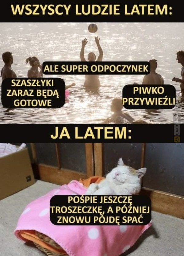 Śmieszny mem: 9023141 - MemLand