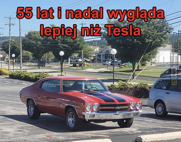 Śmieszny mem: 9023803 - MemLand