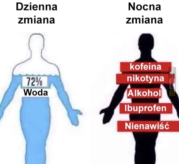 Śmieszny mem: 9024140 - MemLand