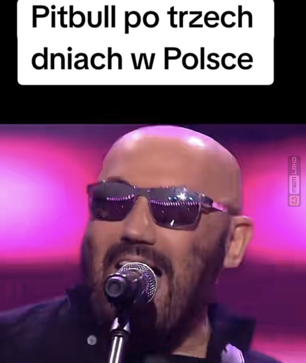 Śmieszny mem: 9024158 - MemLand