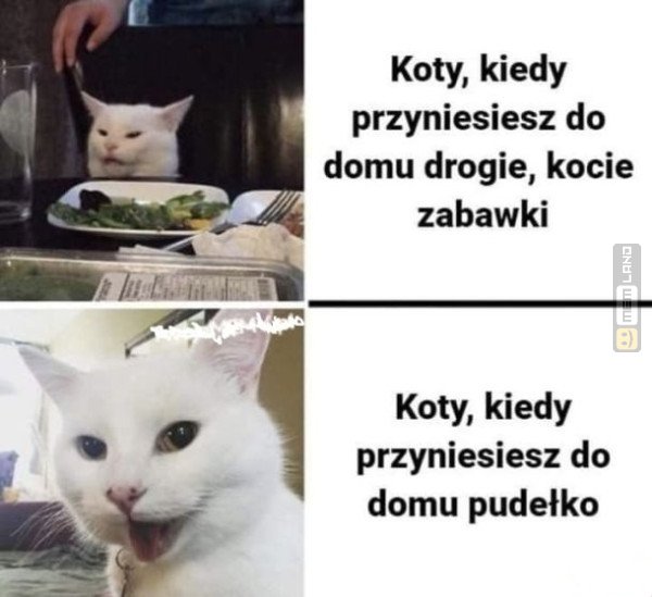 Śmieszny mem: 9028322 - MemLand