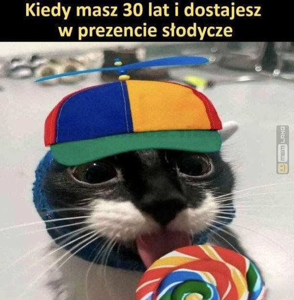 Śmieszny mem: 9034307 - MemLand