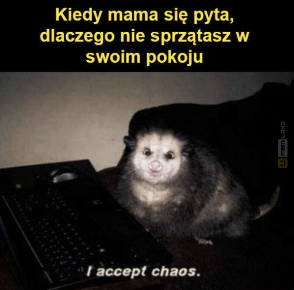 Śmieszny mem: 9035967 - MemLand