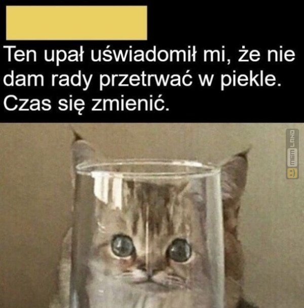 Śmieszny mem: 9037445 - MemLand