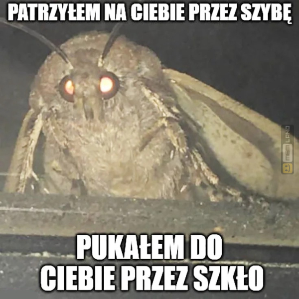 Śmieszny mem: 9044268 - MemLand
