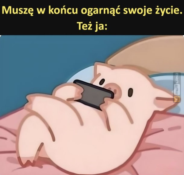 Śmieszny mem: 9051090 - MemLand