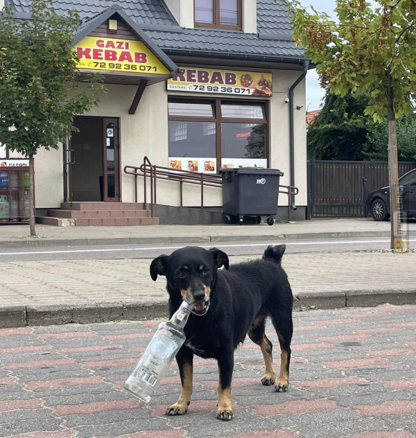 Śmieszny mem: 9055640 - MemLand