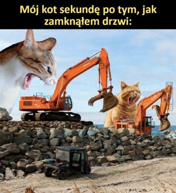 Śmieszny mem: 9056559 - MemLand