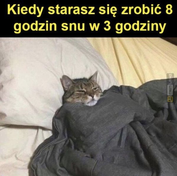 Śmieszny mem: 9059286 - MemLand