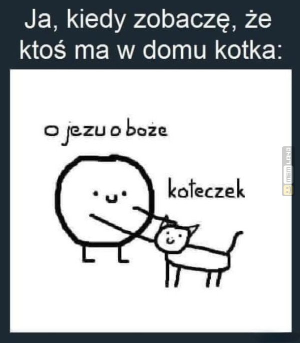 Śmieszny mem: 9063287 - MemLand