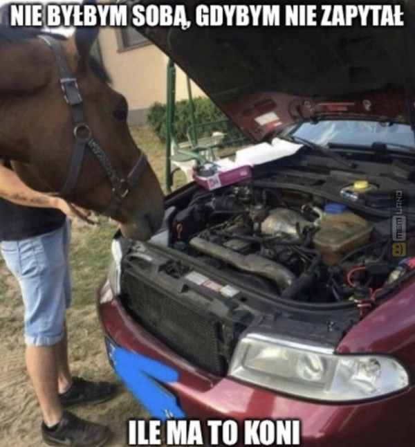 Śmieszny mem: 9063899 - MemLand