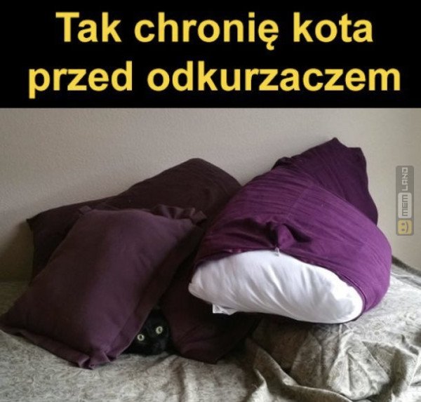 Śmieszny mem: 9070647 - MemLand