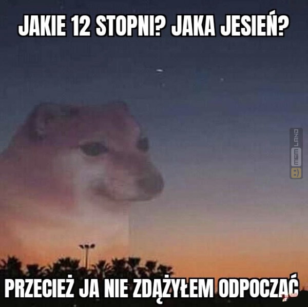 Śmieszny mem: 9073759 - MemLand