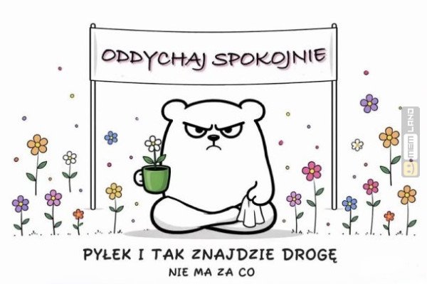 Śmieszny mem: 9076409 - MemLand