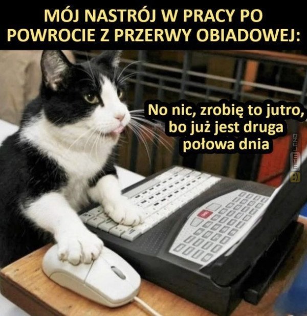 Śmieszny mem: 9082810 - MemLand