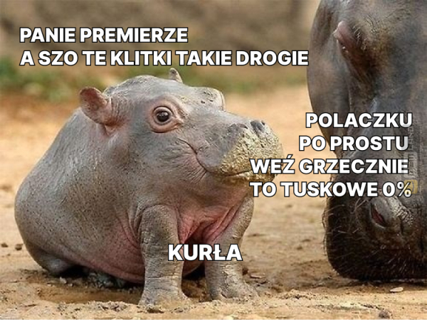 Śmieszny mem: 9082970 - MemLand