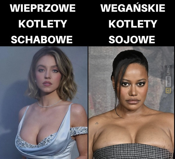 Śmieszny mem: 9101582 - MemLand