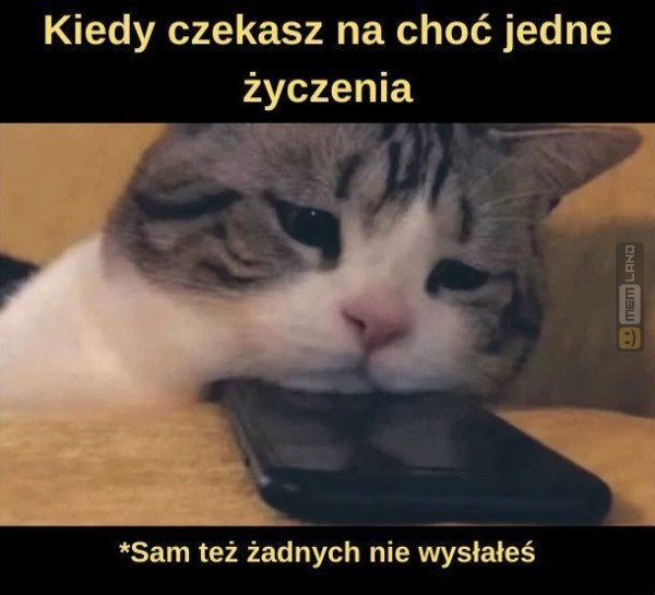 Śmieszny mem: 9109857 - MemLand