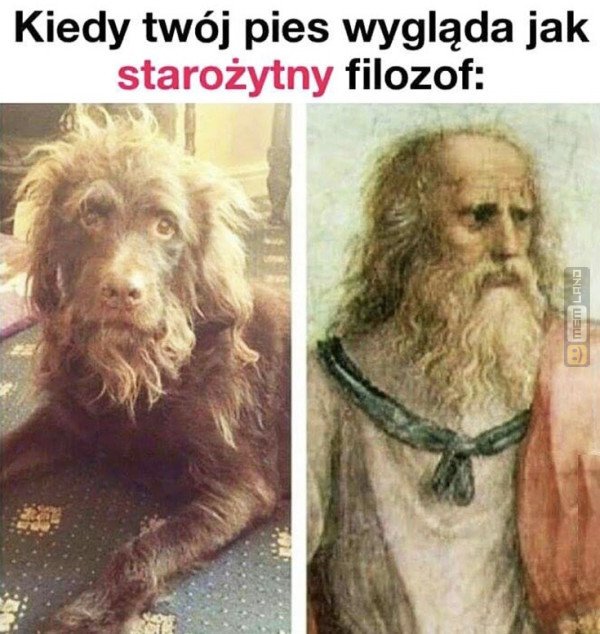 Śmieszny mem: 9114587 - MemLand