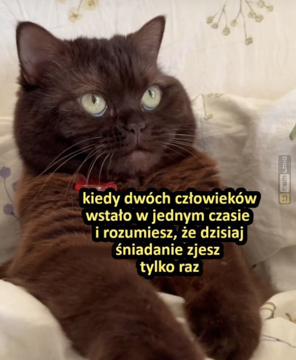 Śmieszny mem: 9119142 - MemLand