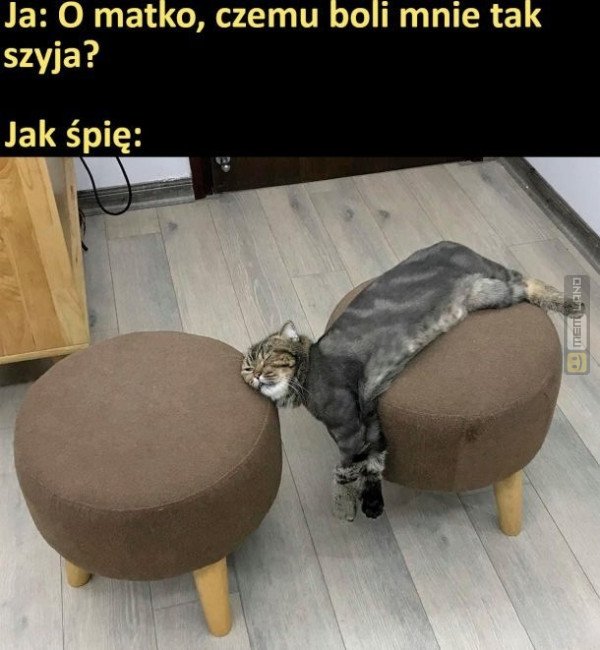 Śmieszny mem: 9119409 - MemLand