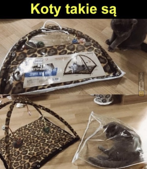 Śmieszny mem: 9119482 - MemLand