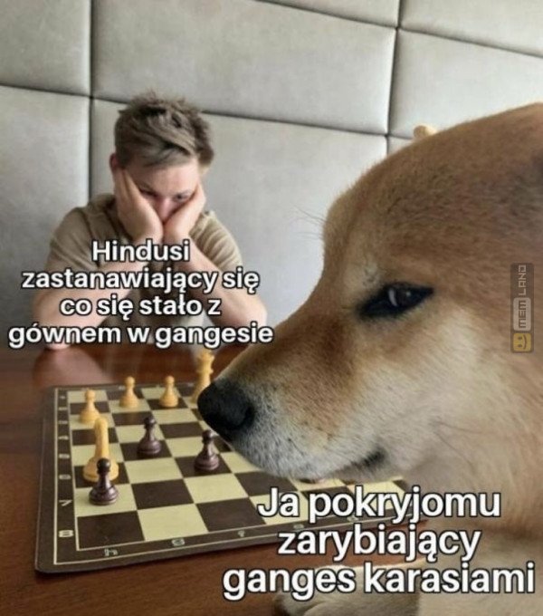 Śmieszny mem: 9127551 - MemLand