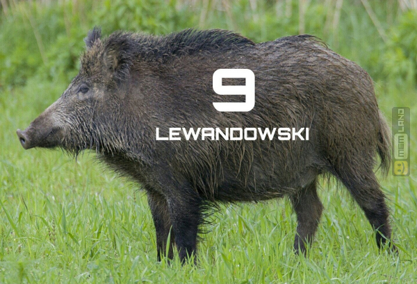 Śmieszny mem: 9128412 - MemLand