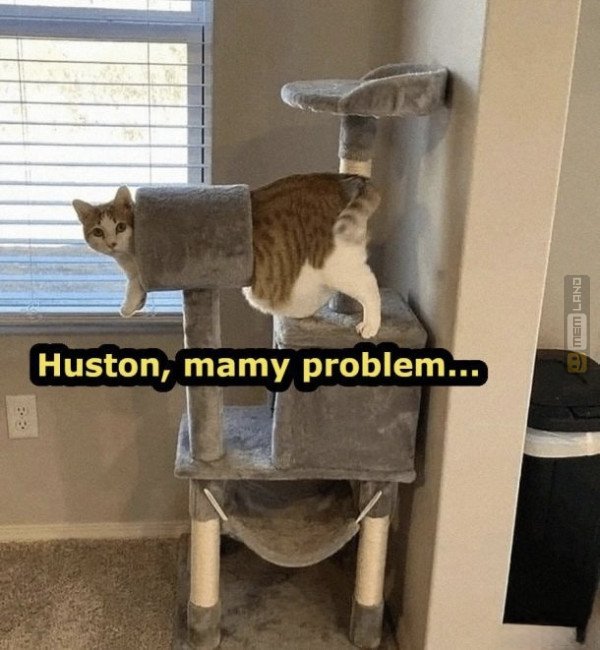 Śmieszny mem: 9130894 - MemLand