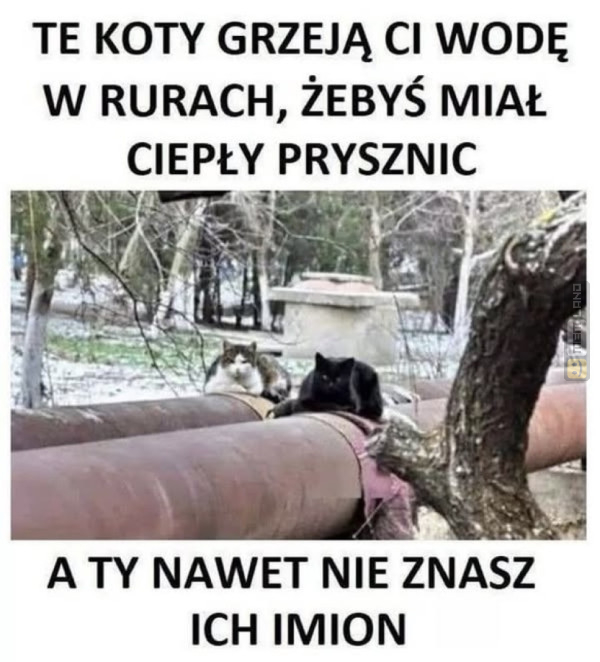 Śmieszny mem: 9131726 - MemLand