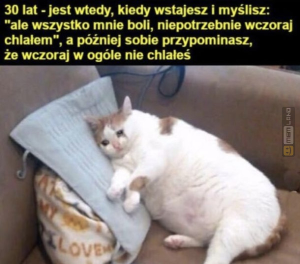 Śmieszny mem: 9134412 - MemLand