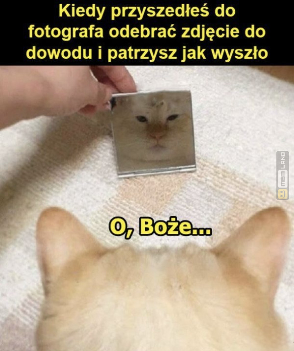 Śmieszny mem: 9139188 - MemLand