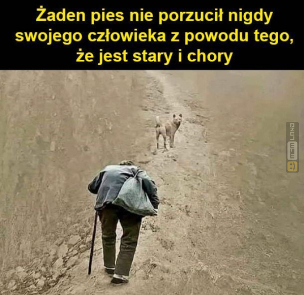 Śmieszny mem: 9139219 - MemLand