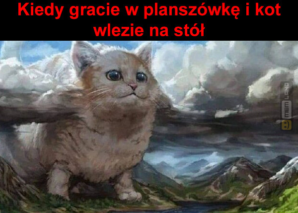 Śmieszny mem: 9140216 - MemLand