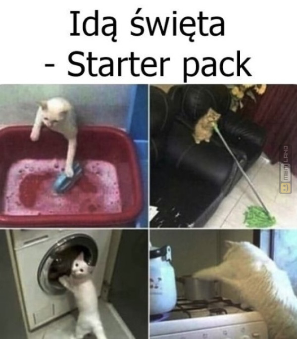 Śmieszny mem: 9149552 - MemLand