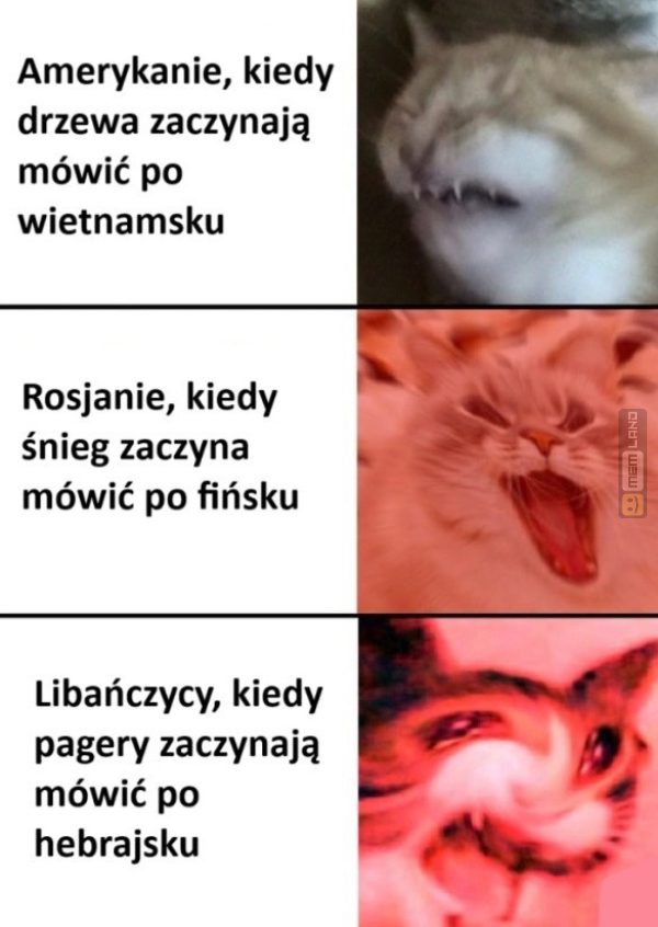 Śmieszny mem: 9151410 - MemLand