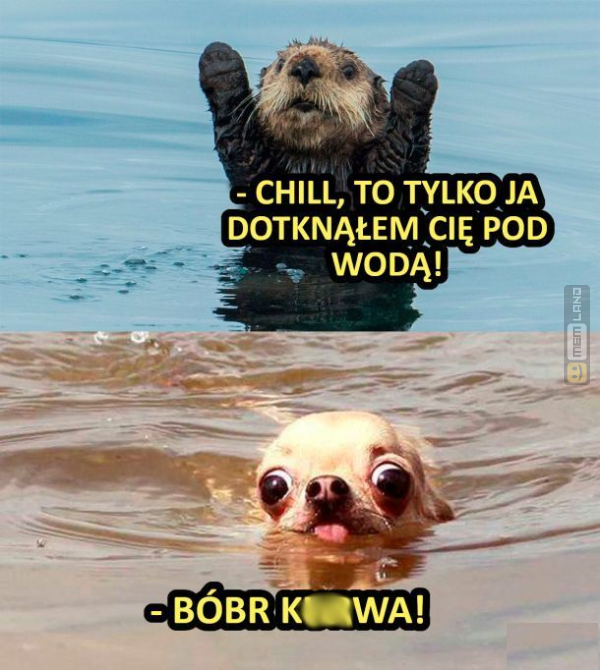 Śmieszny mem: 9152645 - MemLand