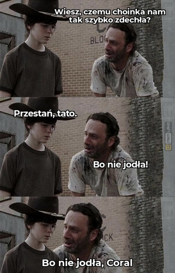 Śmieszny mem: 9158442 - MemLand