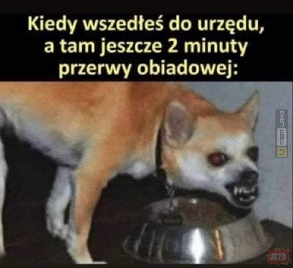 Śmieszny mem: 9160322 - MemLand